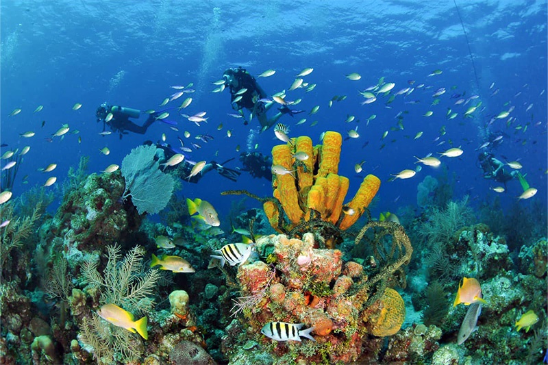 Cozumel